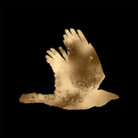 Crow Circus Thumbnail